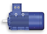 cemp-atex-motor.jpg
